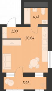 Планировка. студия,30.4